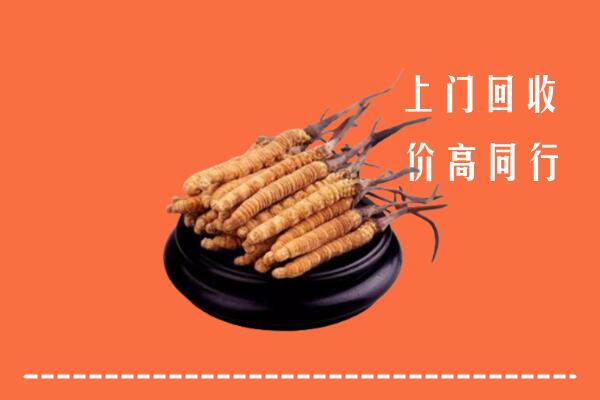 高价求购：南岸区回收散虫草