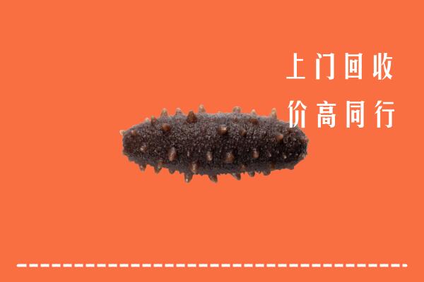 南岸区高价回收海参