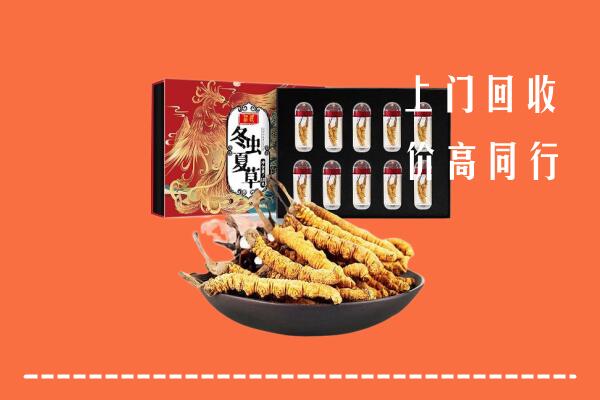 收购行情：南岸区回收虫草